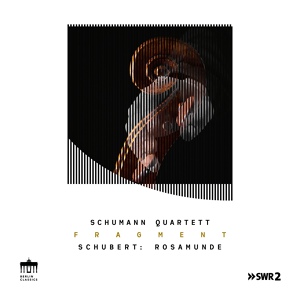 Обложка для Schumann Quartett - I. Allegro ma non troppo