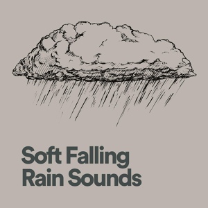 Обложка для Nature Sounds - Cleared Rain