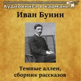 Обложка для Аудиокнига в кармане, Василий Куприянов - Камарг