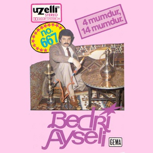 Обложка для Bedri Ayseli - Emine