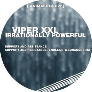 Обложка для Viper XXL - Support & Resistance (Original Mix)