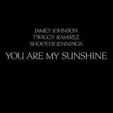 Обложка для Jamey Johnson, Twiggy Ramirez, Shooter Jennings - You Are My Sunshine