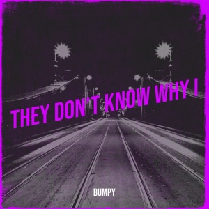 Обложка для Bumpy - They Don’t Know Why I