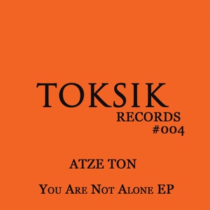 Обложка для Atze Ton - Much More of Noise