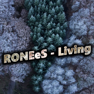 Обложка для RONEeS - The Factory