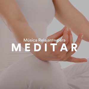 Обложка для Meditación Interna & Submotion Academy - Desestresarse