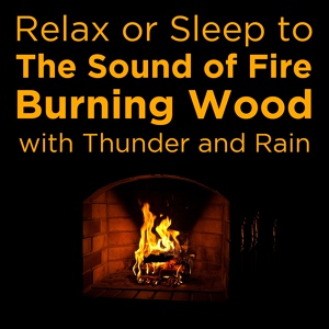 Обложка для Nature Sounds - Wood, Fire, Thunder 73