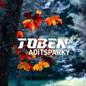 Обложка для ADITSPARKY - TOBEN