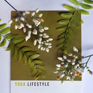 Обложка для Healing Yoga Meditation Music Consort, Yin Yoga Music Collection, Musica Para Dormir Profundamente - Dru Yoga