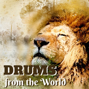 Обложка для Drums World Collective - African Drums & African Percussion