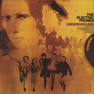 Обложка для The Electric Prunes - Everybody Knows You're Not in Love