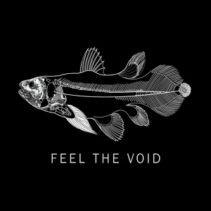 Обложка для Feel the Void - Let It Fall