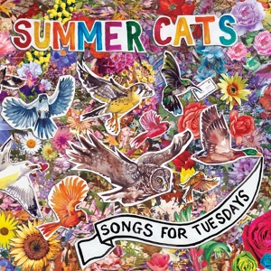 Обложка для Summer Cats - In June