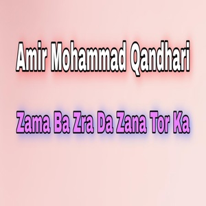 Обложка для Amir Mohammad Qandhari - Da Jinnath Gula GUlzar