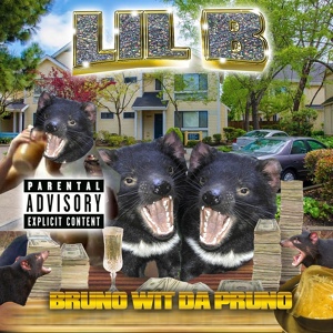 Обложка для Lil B; The BasedGod - Swag 4x Instrumental