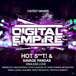 Обложка для Hot Shit! - Endless Love ft. Savage Pandas (Misael Gauna Remix)