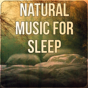 Обложка для Natural Sleep Aid Ensemble - Soothing Music (Piano Song)