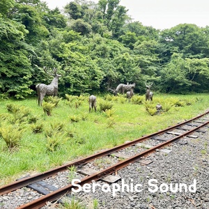 Обложка для Seraphic Sound - Seraphic Sound