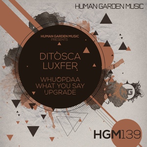Обложка для Ditosca, Luxfer - What You Say