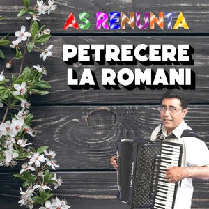 Обложка для Petrecere la Romani - Ce naș ce nașă