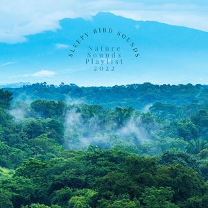 Обложка для Nature Sounds Playlist 2022 - Calming Rainforest Sounds