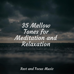 Обложка для Calm shores, Natureza Musica Bem-Estar Academia, Wellness - Soundtrack to Stillness
