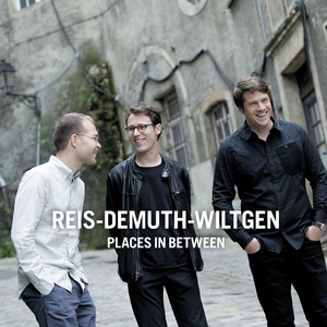Обложка для Reis-Demuth-Wiltgen - Joule's Last Glimpse
