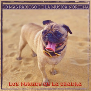 Обложка для los perros de la cuadra - El Dientes Flojos