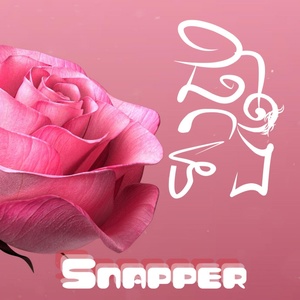 Обложка для Snapper - ផ្កាមួយទង