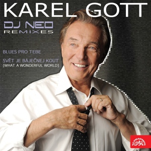 Обложка для Karel Gott - Blues Pro Tebe