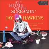 Обложка для Screamin' Jay Hawkins - Yellow Coat