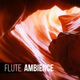 Обложка для Flute Music Group - Flute Music