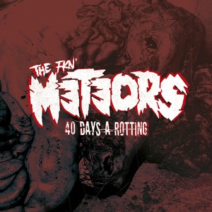 Обложка для The Meteors - 40 Days a Rotting