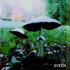 Обложка для SVEDA - Осень