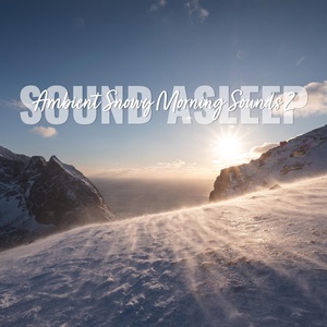 Обложка для Elijah Wagner - Ambient Snowy Morning Sounds, Pt. 18