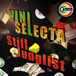 Обложка для Viniselecta - Still Selecta