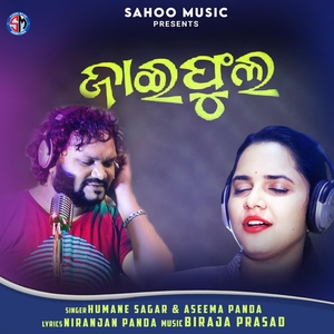 Обложка для Human sagar, Aseema panda - Jai Phula