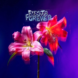 Обложка для Fiesta Forever - On The Radar