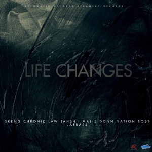 Обложка для Skeng - Life Changes