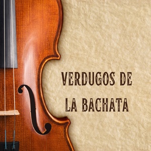 Обложка для El Gringo De La Bachata - Amor Voraz