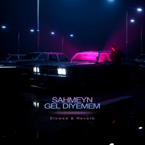 Обложка для Şahmeyn - Gel Diyemem
