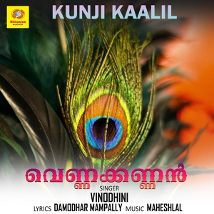 Обложка для Vinodhini, Maheshlal, Damodhar Mampally - Kunji Kaalil