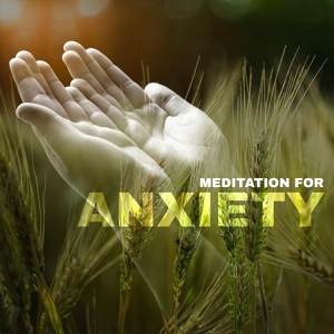 Обложка для Om Meditation Music Academy - Vibe of Nature