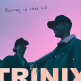 Обложка для Trinix Remix - Running Up That Hill
