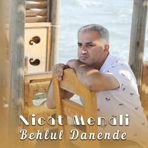 Обложка для Nicat Menali - Gözle Meni