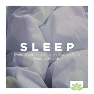 Обложка для Dzen Guru - Sleep through the Night