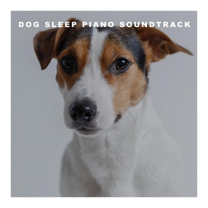 Обложка для Dog Relaxation Piano - Dog Piano VII
