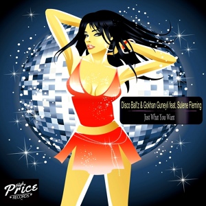 Обложка для Disco Ball'z, Gokhan Guneyli feat. Sulene Fleming - Just What You Want