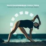 Обложка для Академия музыки для йоги - Растяжка и тонус