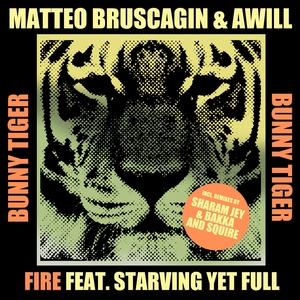 Обложка для Matteo Bruscagin, Awill, Starving Yet Full - Fire